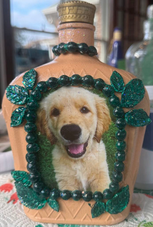Golden Retriever Puppy